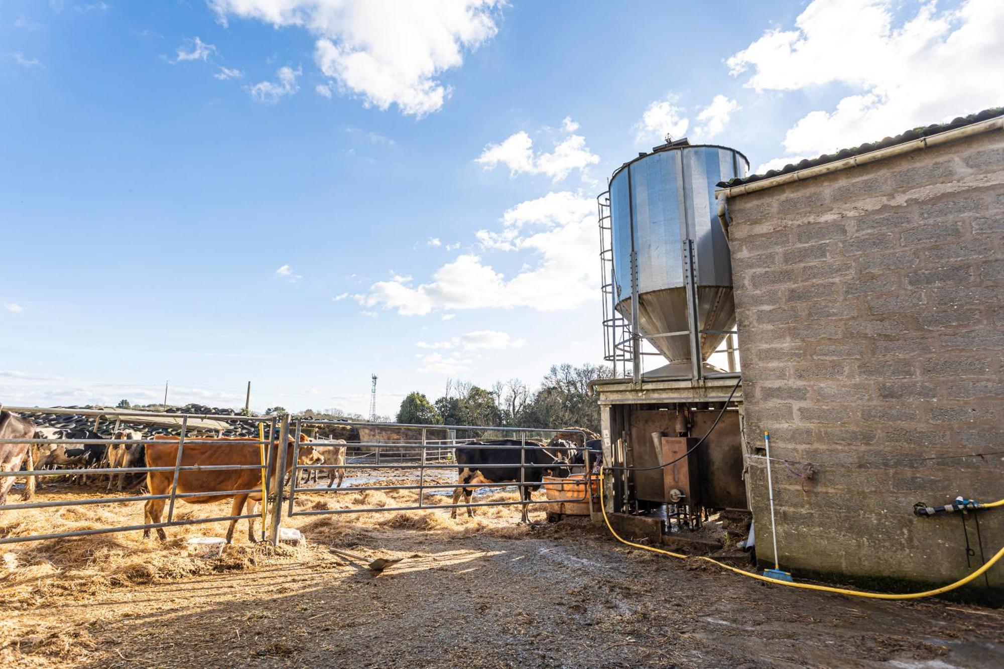 A La Ferme Du Cosquer Villa Baden Kültér fotó