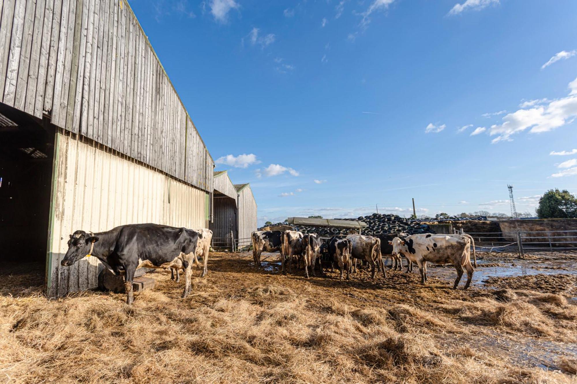 A La Ferme Du Cosquer Villa Baden Kültér fotó